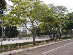Blk 371 Woodlands Avenue 1 (Woodlands), HDB 5 Rooms #133577902